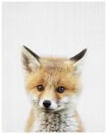 Baby Fox - Wall Art Print - A1