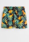 Patterned Swim Shorts - Black dinosaurs
