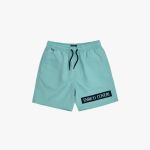 Mens Shorts In Turquoise - Turquoise S