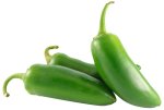Sandveld Seeds Jalapeno Chilli