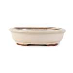 Assorted Glazed Bonsai Pots 12" - Ivory Oval With Lip 31 X 25 X 8