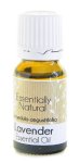 Lavender Pure Essential Oil - 50ML