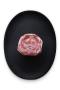 Whole Lamb Neck - +/- 750G