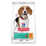 Perfect Weight Medium Breed With Chicken Dog Food - 12KG