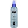 Perfect Touch Ultra Shine Hairspray 350ML