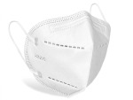 NW-SG001 A b Mask