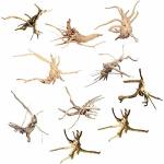 MINI Driftwood For Aquarium Natural Wood Branches Fish Tank Decorations Tree Trunk Driftwood 10 Pack
