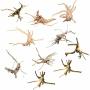 MINI Driftwood For Aquarium Natural Wood Branches Fish Tank Decorations Tree Trunk Driftwood 10 Pack