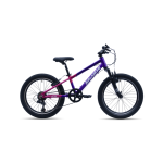 Avalanche Buzz 20 Inch Purple pink