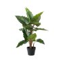 Houzecomfort Artificial Alocasia Elephant Ear Plant 80CM