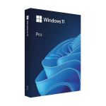 Windows 11 Professional Single-user DVD License