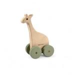 Timmy Toys – Giraffe Wheely – Assorted Colours