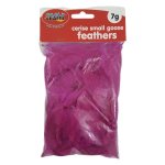 Crazy Craft Small Cerise Goose Feathers 7G
