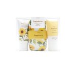 Jenam Sunflower Mani Medley