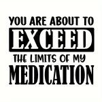 Iron-on Transfer Lettering Patch For Diy T-shirts & Sweatshirts Vinyl Decal Sticker "you Are About To Exceed The Limits Of My Me