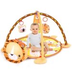Baby Gym Rack And Gamepad Combo