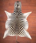 Aa Grade Zebra Hide 020 L