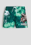 Printed Swim Shorts - Green Jurassic World