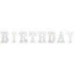 LED Letter Lights Birthday
