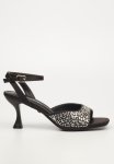 Kitten 1 - Black