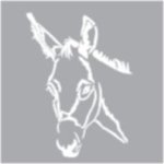 Stencil Donkey Side