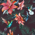 Fluorescent Sunbirds Dark Wallpaper