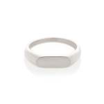 Vista Signet Ring In Silver