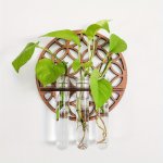 Boho-chic Round Wooden Hollow Plant Shelf With Test Tube Vases - Wall Decor For Living Room Bedroom And Home Office