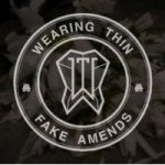 Fake Amends Cd