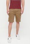 Levi's Carrier Cargo Shorts Za Otter - Brown