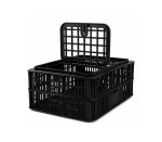 Chicken Coop