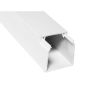 Locally Sourced Ega Trunking 40MM X 40MM