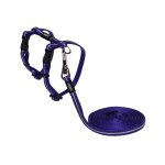Rogz Alleycat Kitten & Cat Harness & Lead - Small Purple