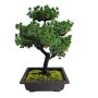 Faux Bonsai Tree Home Decor Sotran Dekorativ