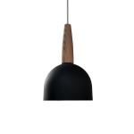Rene Meatl & Wood Pendant Light