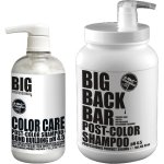 Big Professional Color Care Post-color Bond Building Shampoo