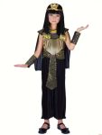 Egyptian Girl Costume 9 12 Yrs