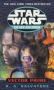 Vector Prime: Star Wars Legends   Paperback