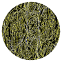 Flowering 04 Wall Decal - 60CM L X 60CM H