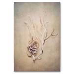 Gifts Of The Sea 2 Art Print - A4 No Frame Print Only