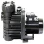 Speck Pumps 0.75KW Badu Porpoise 16 Self-priming Swimming Pool Pump