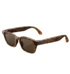 Glasses Adventurer Large Classic Tortoise brown