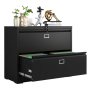 Steel Lateral 2 Drawer Swan Handle Filing Cabinet Cupboard Locker With Card Slots - Black