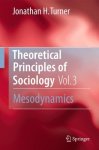 Theoretical Principles Of Sociology Volume 3: Mesodynamics