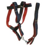 Pet Leash 1.5CM P603680