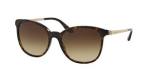 Bvlgari BV8160B