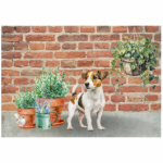 Deco Print Jack Russell With Plants
