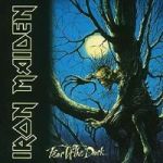 Fear Of The Dark Vinyl Record