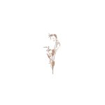 Leaf Autumn On Stem Pink 12X2X106CM