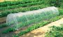 Greenhouse Tunnel 60CMX45CMX3M Include Hoops And Film
